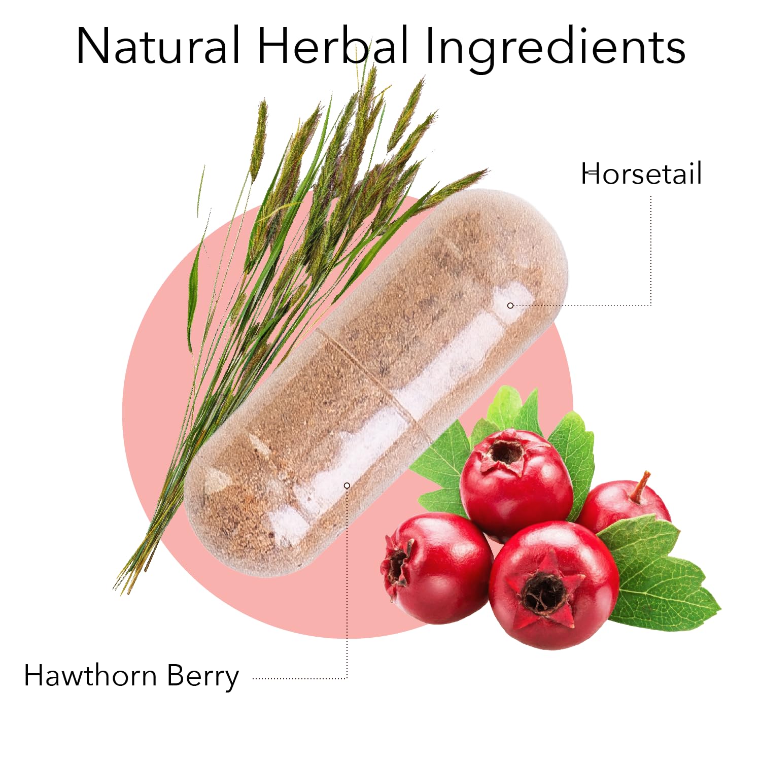 Kroeger Herb heart and circulation supplement side label highlighting hawthorn berry ingredient
