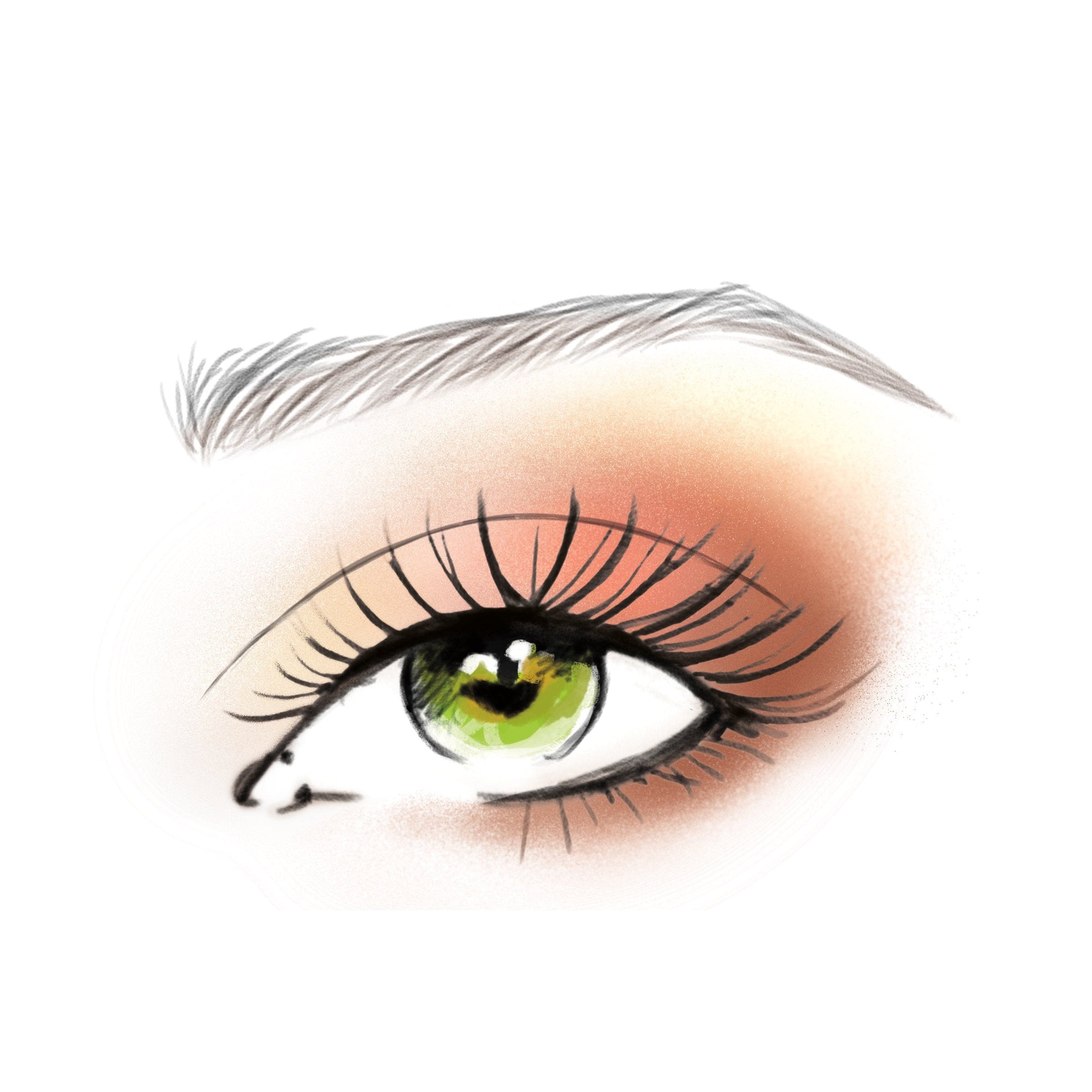 Back of L'Oreal Paradise Enchanted eyeshadow palette box