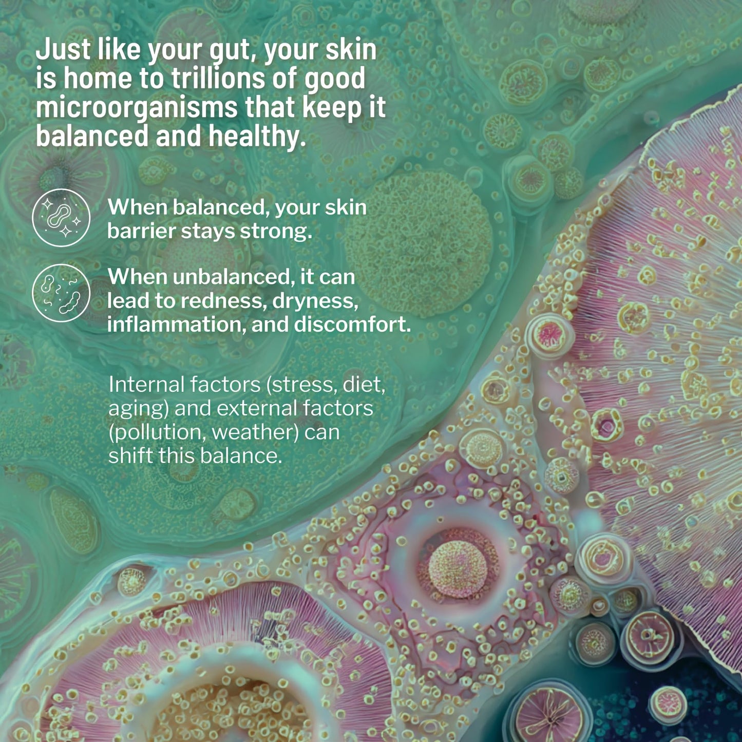Dr. Brandt Clean Biotic cleanser with chlorophyll ingredients label