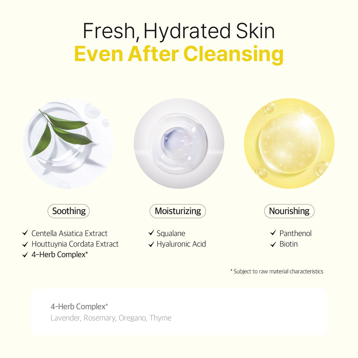 Ariul The Perfect Cleansing Oil Pad EX container lid and seal detail
