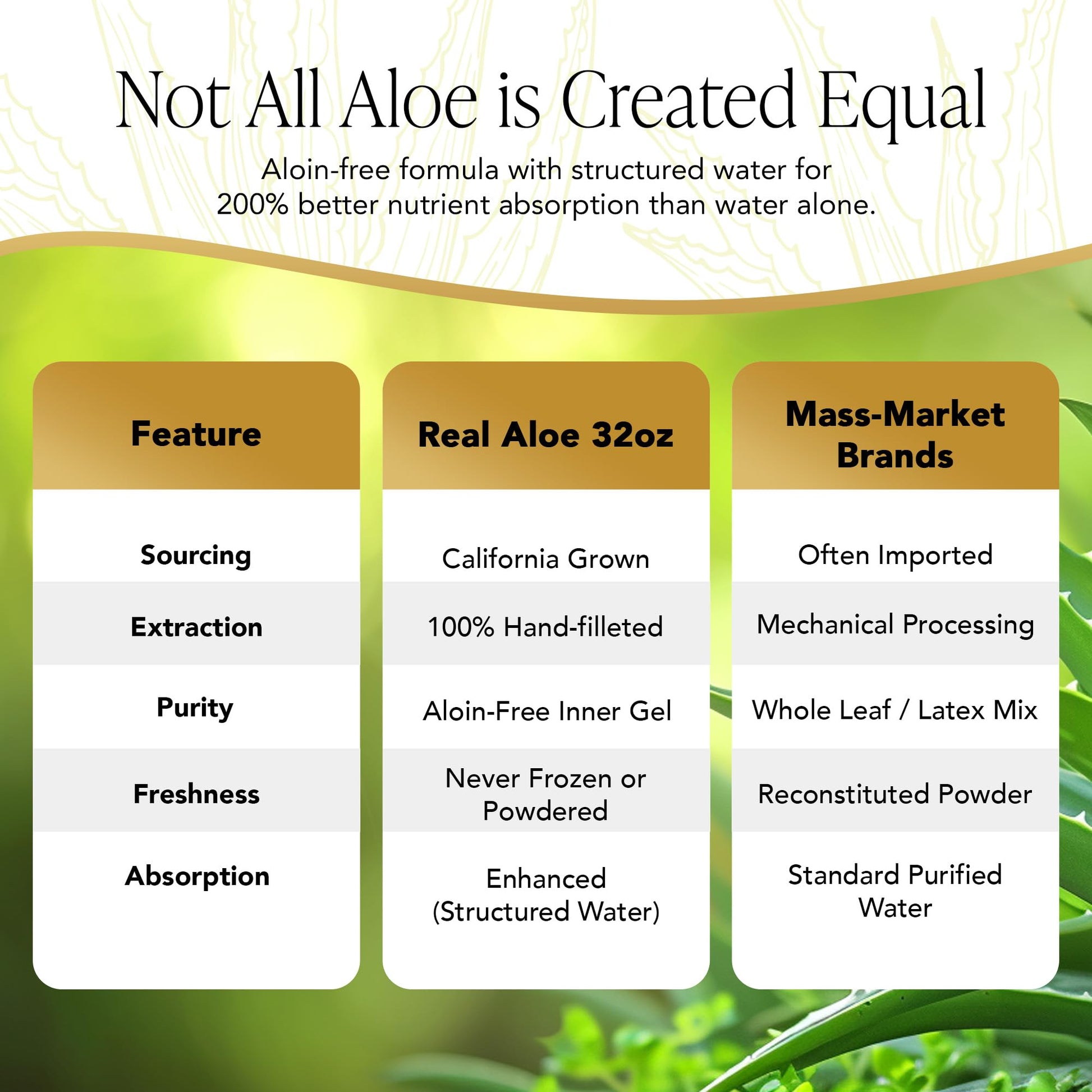 Real Aloe organic aloe vera gel for skin and digestion