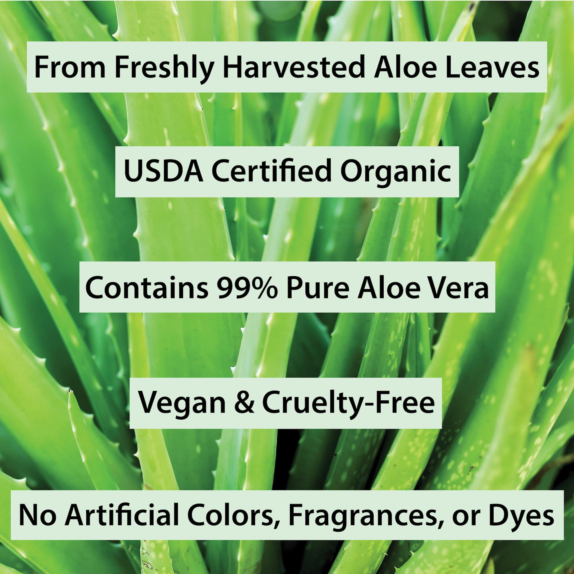 Amara Beauty aloe vera gel usage for hair and scalp