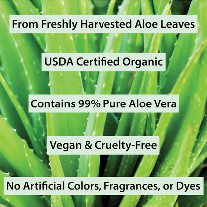 Amara Beauty aloe vera gel usage for hair and scalp