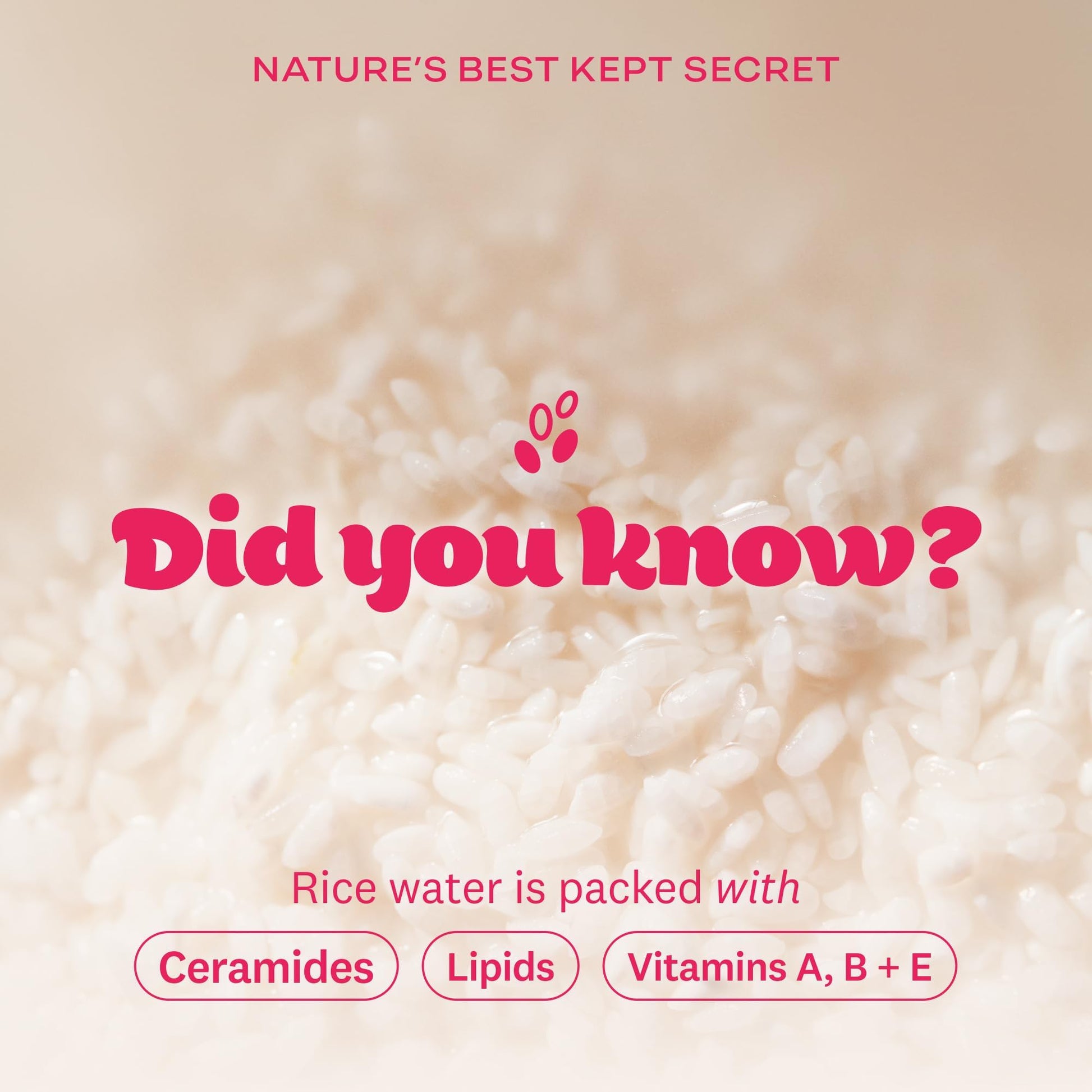 The Face Shop Rice Water Bright Light Cleansing Oil ingredient label