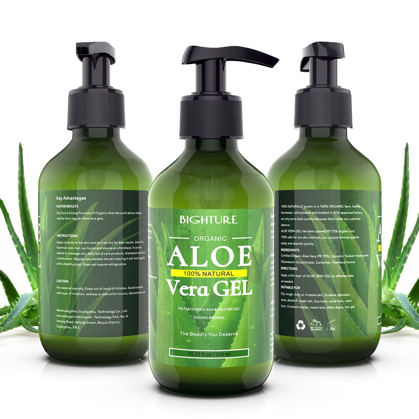 Freshly cut aloe leaves concept for Bighture gel