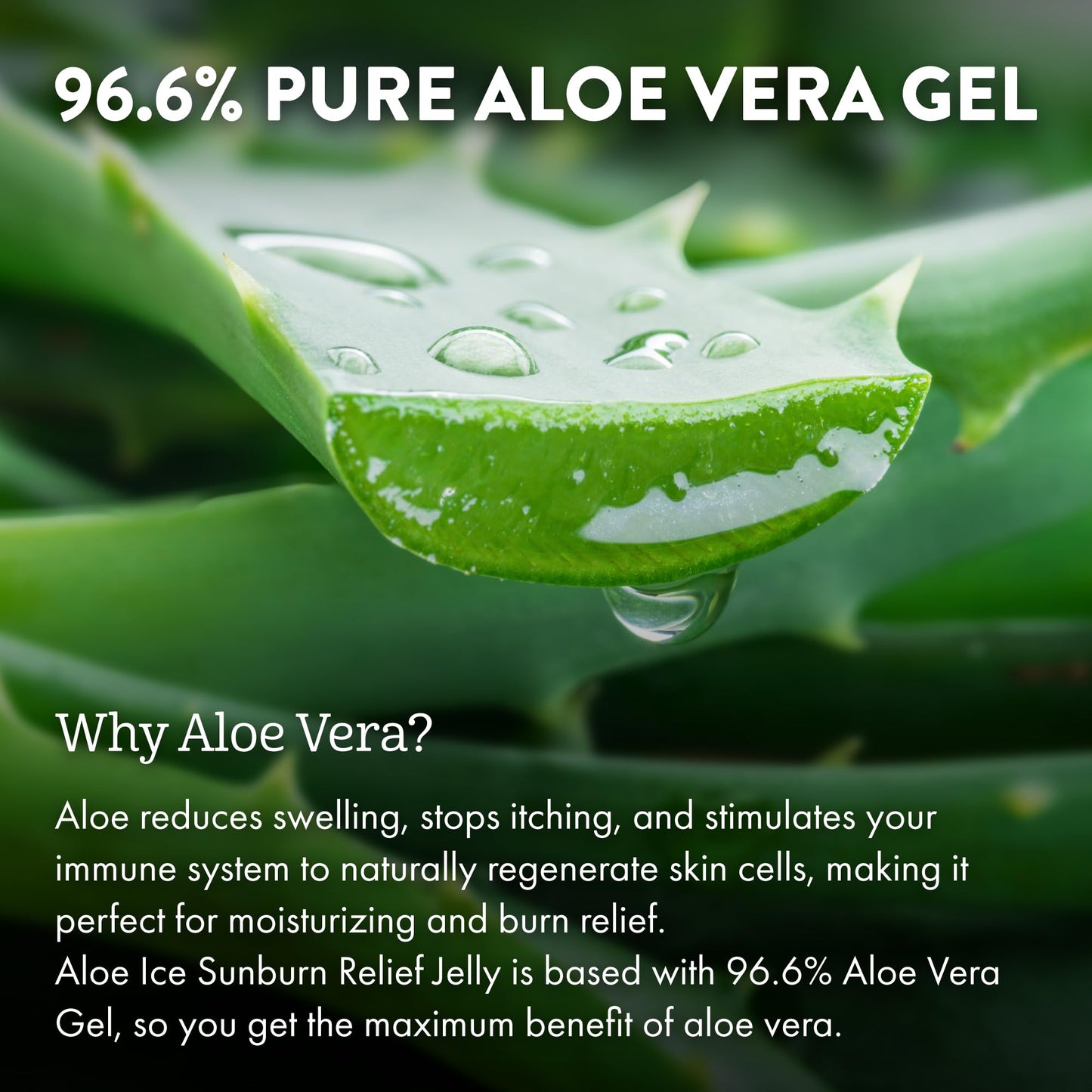 Texture of Aloe Up Aloe Ice sunburn relief jelly on hand