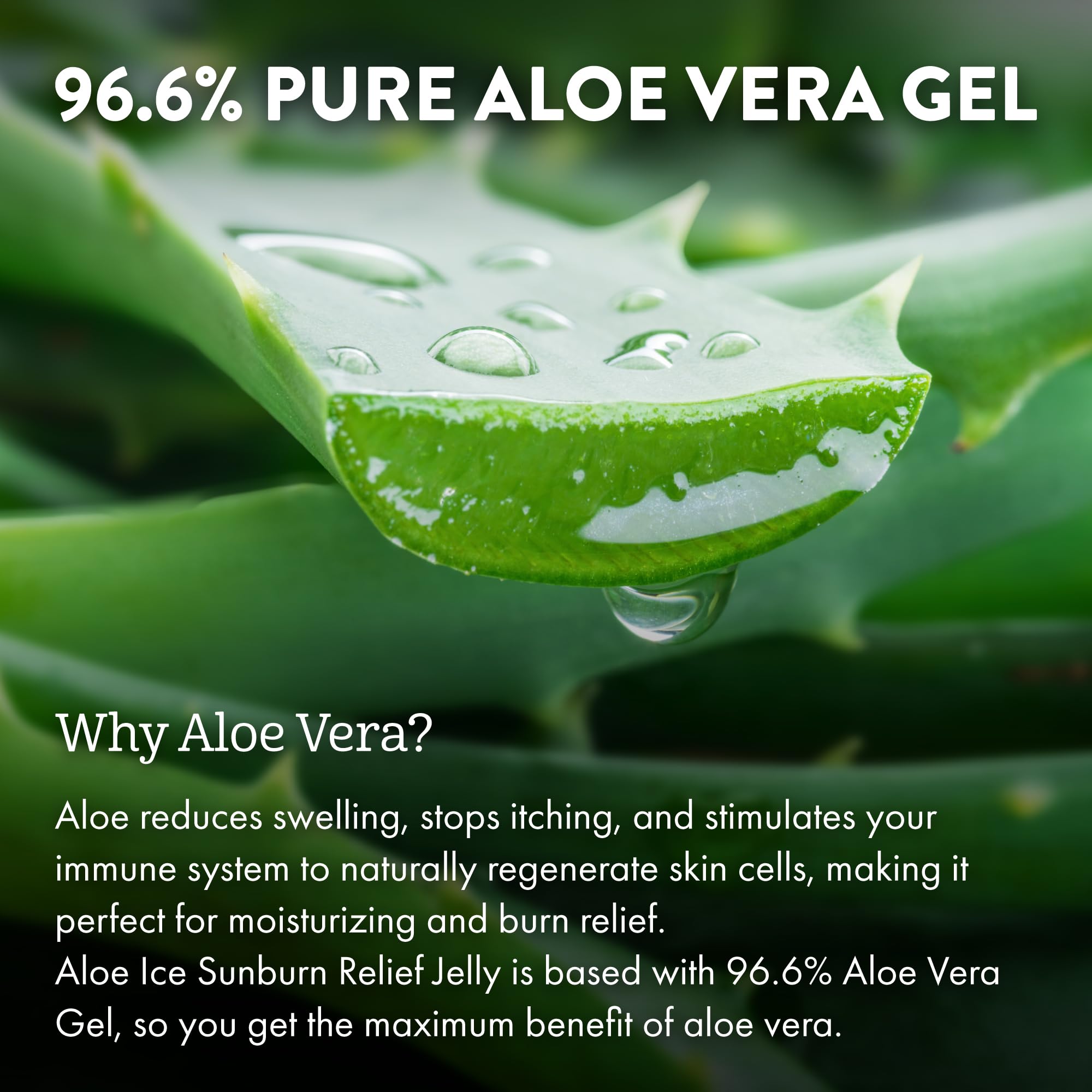 Texture of Aloe Up Aloe Ice sunburn relief jelly on hand