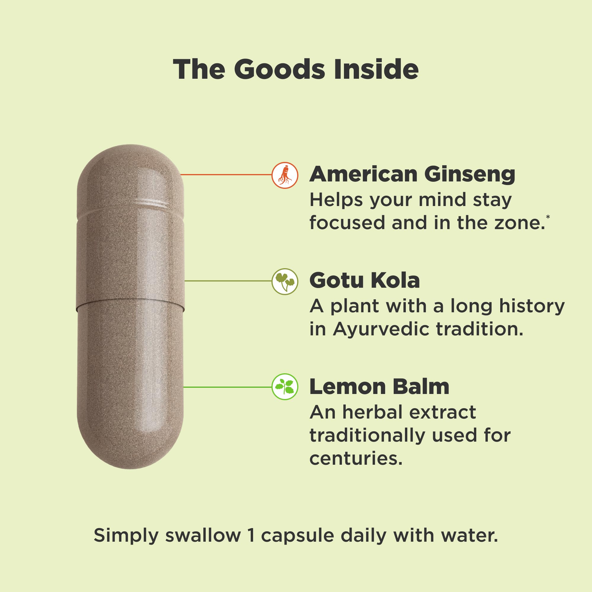 Olly Focus 30 capsules bottle side view with ingredients