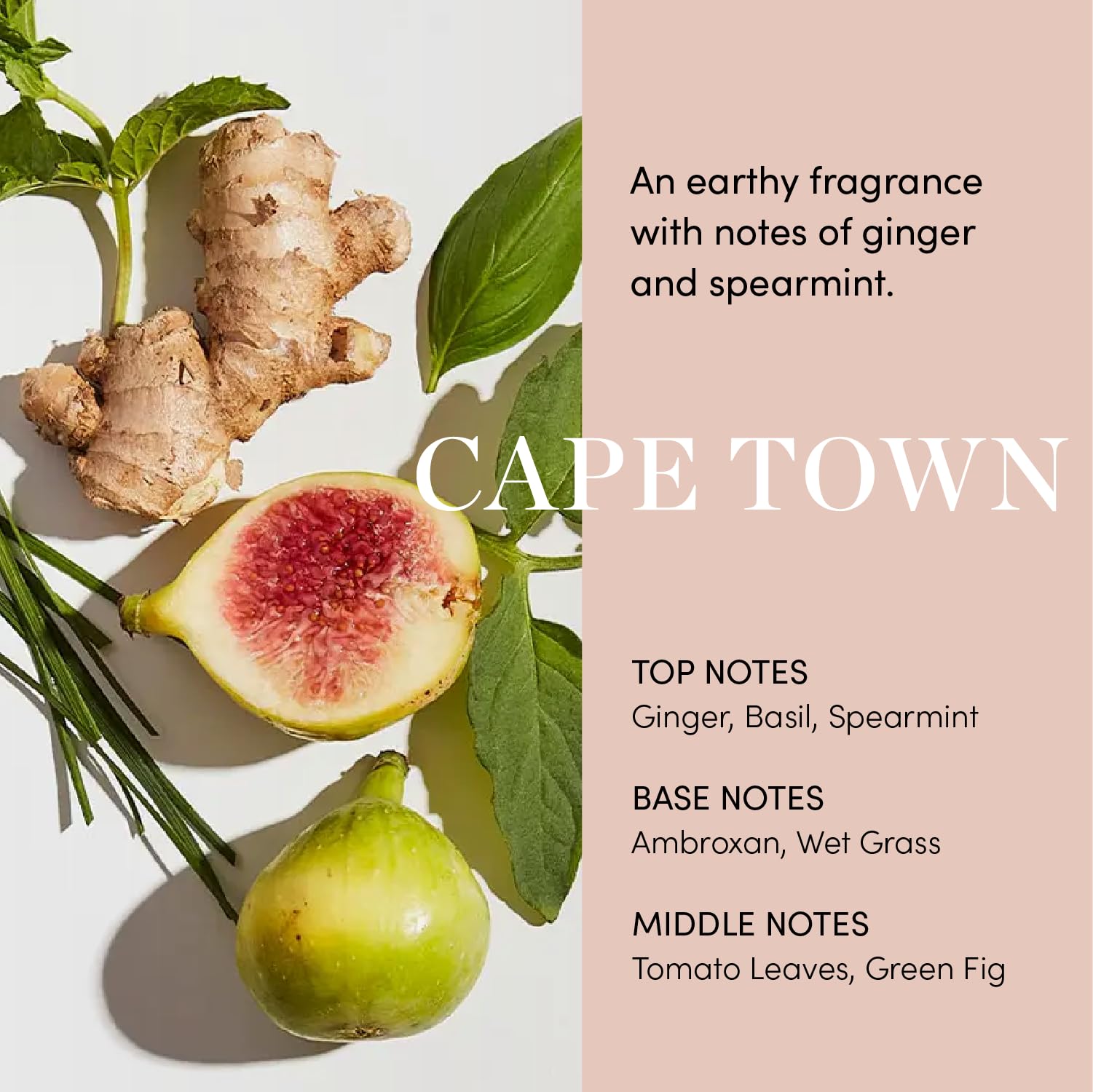 OUAI peptide and adaptogen infused daily hair growth serum