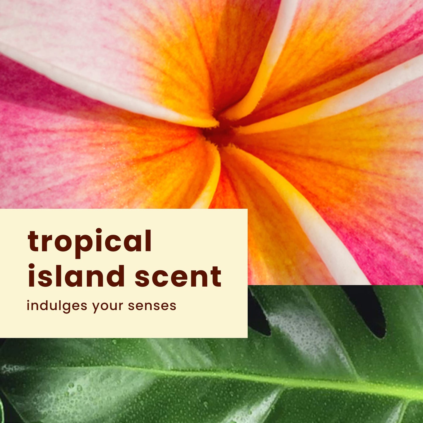 Hawaiian Tropic sunscreen bottle next to active lifestyle equipment