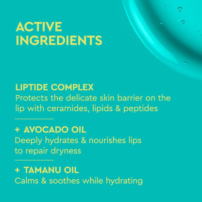 Authentic Byoma Liptide Lip Oil for lip care
