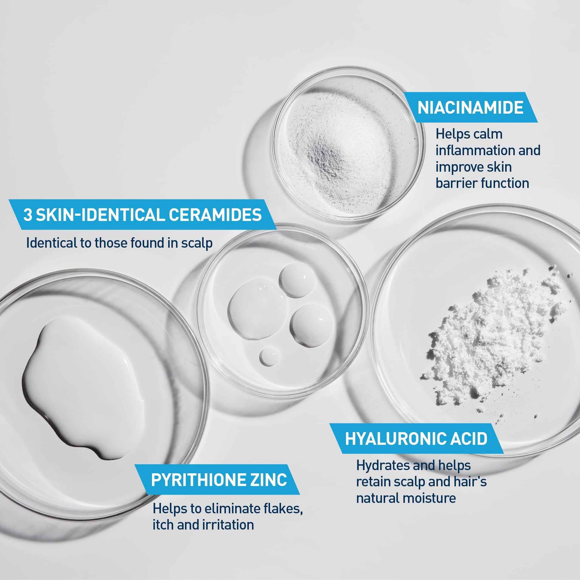 CeraVe anti-dandruff formulation showing the large 19 ounce value size packaging