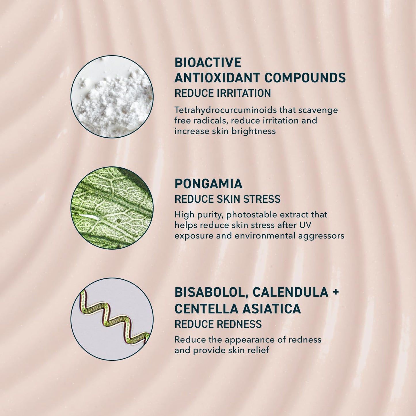 Prequel Skin Sun Barrier Mineral Sunscreen SPF 50 ingredient label
