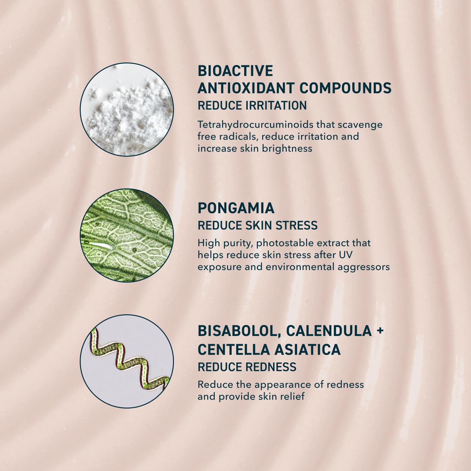 Prequel Skin Sun Barrier Mineral Sunscreen SPF 50 ingredient label