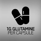 Optimum Nutrition L-Glutamine 240 capsules container lifestyle display