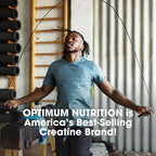 Dista-USA Optimum Nutrition micronized creatine container back label