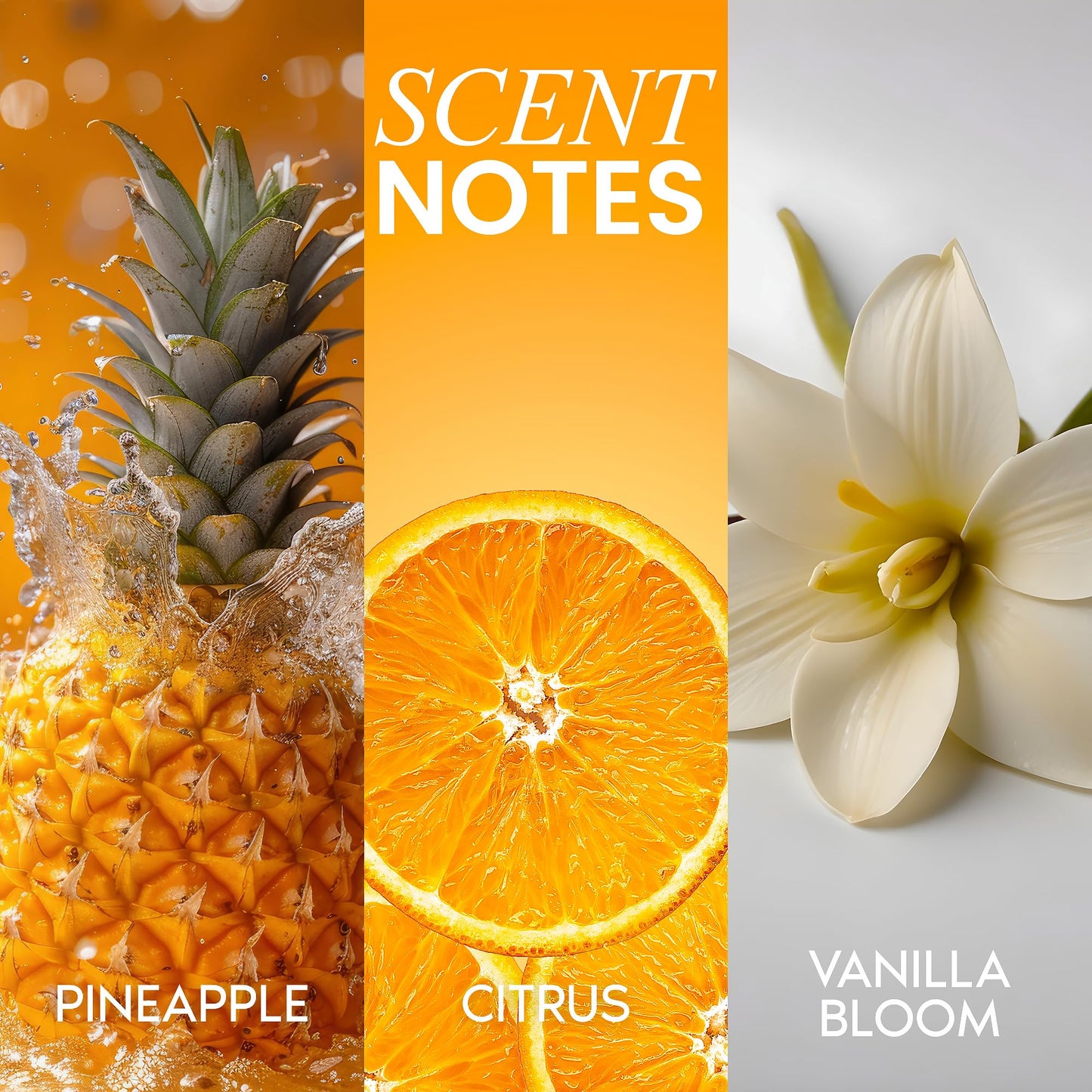 Close up of Her Fantasy Box Pineapple Creme packaging