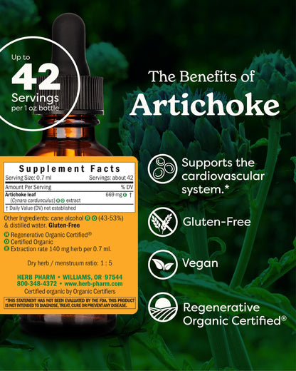 Herb Pharm Artichoke liquid supplement bottle with dropper pipette visible for dosage.