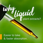 Dropper application view of Herb Pharm fast absorbing herbal liquid supplement for mental clarity.