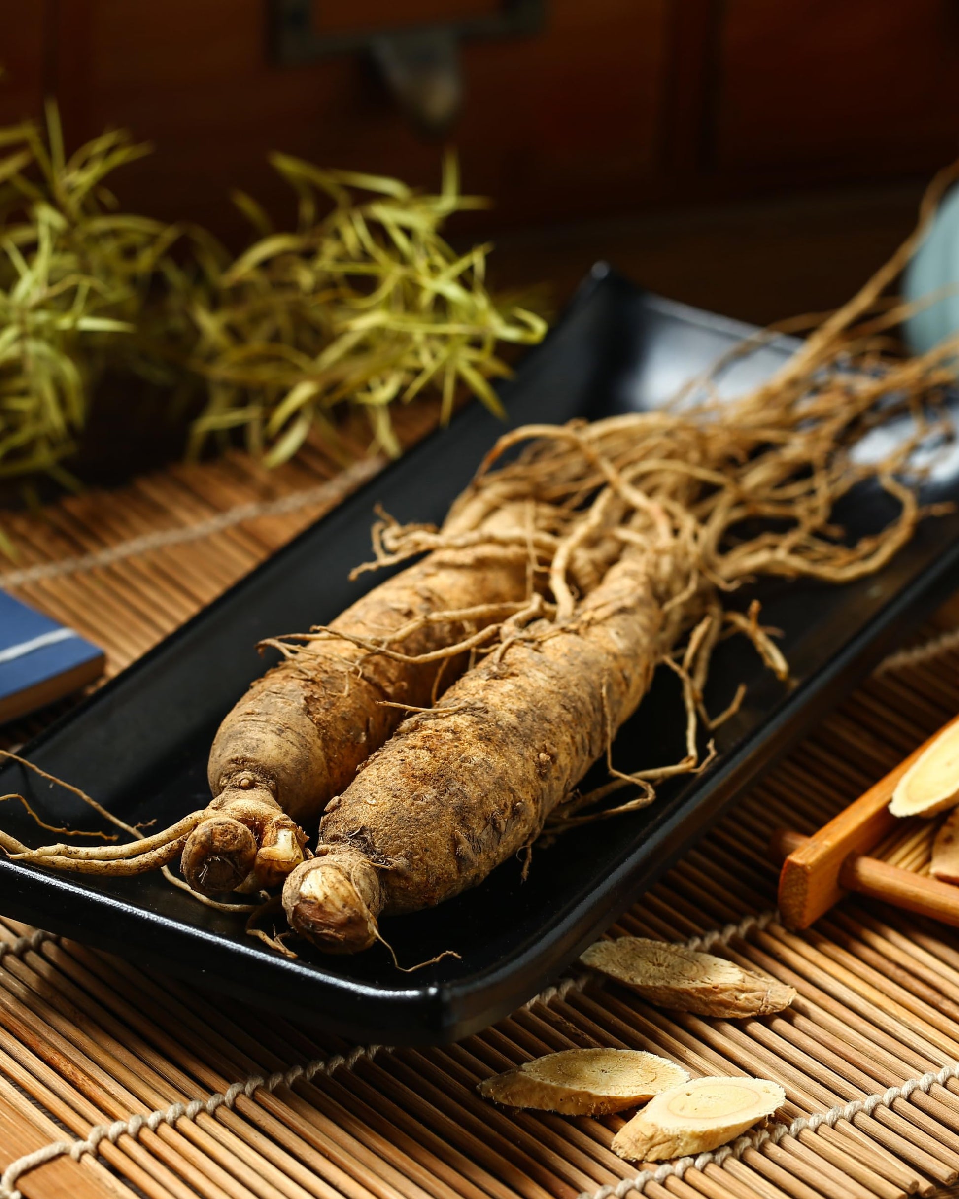 Herb Pharm Panax Ginseng bottle held in hand for scale