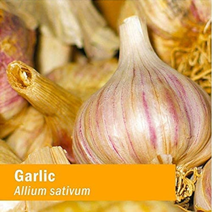 Gluten free and non GMO authentic Herb Pharm garlic supplement bottle side profile