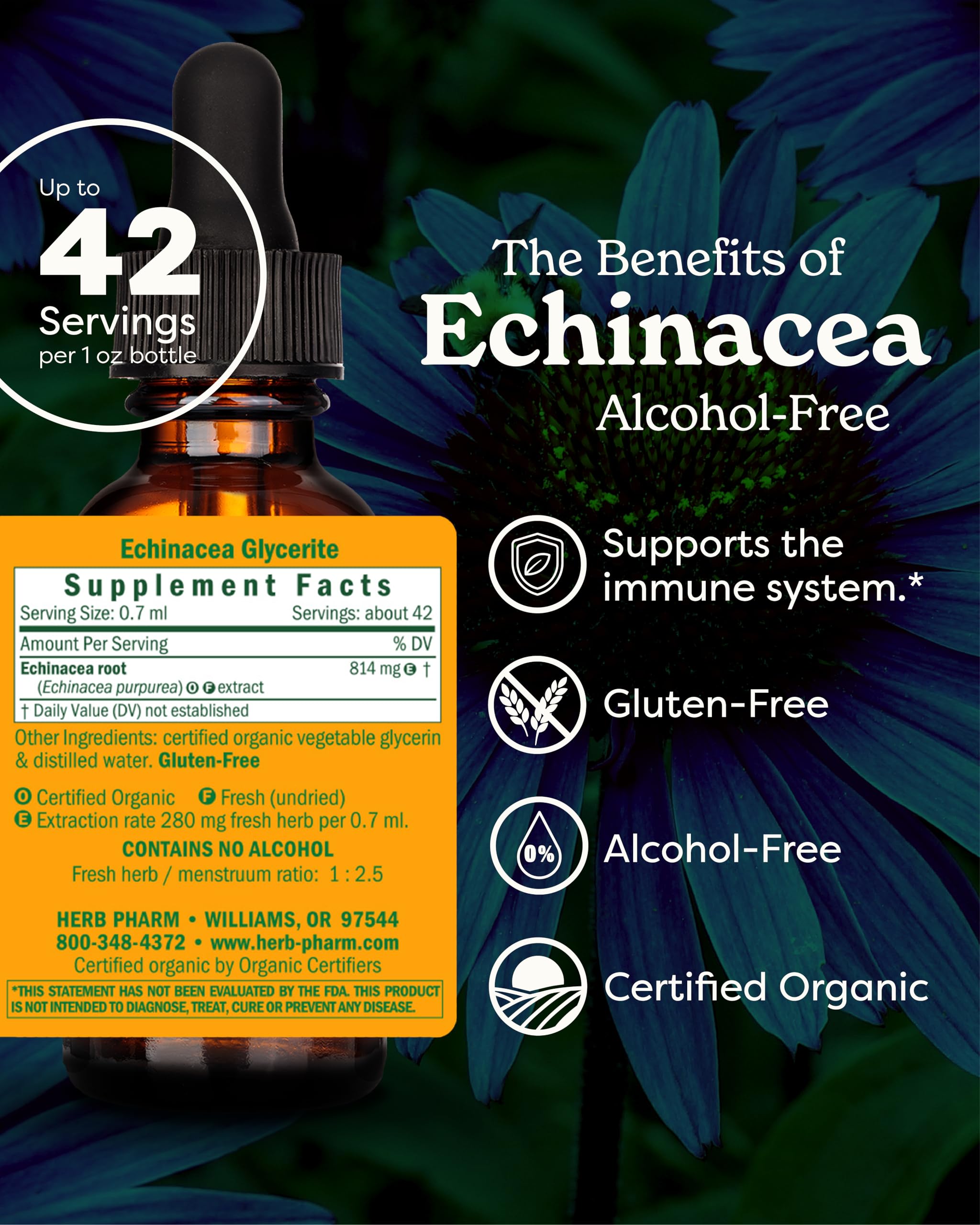 Close up of Herb Pharm Echinacea glycerite bottle label details