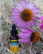 Side view of organic echinacea root extract bottle with ingredients