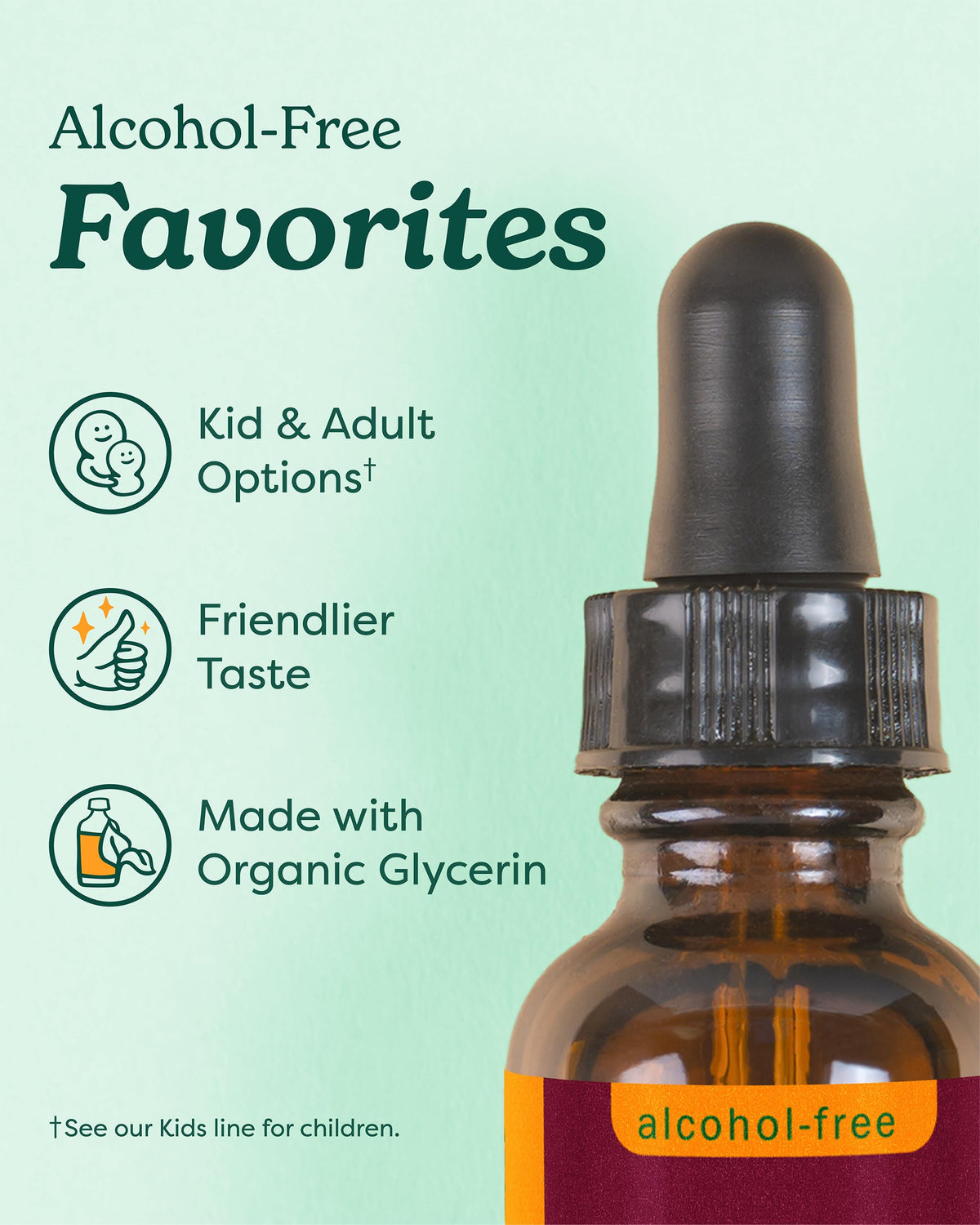 Herb Pharm Kids Echinacea orange flavored herbal drops