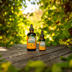 Herb Pharm liquid herbal supplement for children immune health