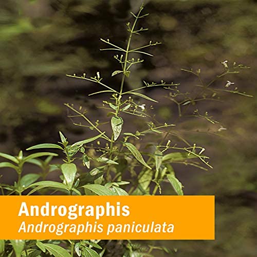 Herb Pharm Andrographis 4 Ounce liquid extract dietary supplement facts panel