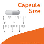 Now Foods Acetyl L Carnitine 200 count bottle back view directions