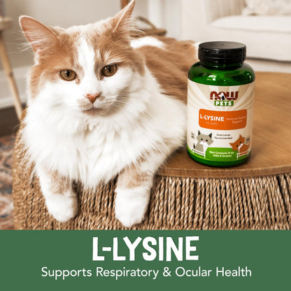Now Pets L-Lysine powder 8 Ounce packaging