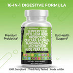 Premium gut health supplement imported to India by Rudra Retails