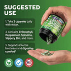 Chlorophyll internal body deodorizer capsules with peppermint and slippery elm ingredient list