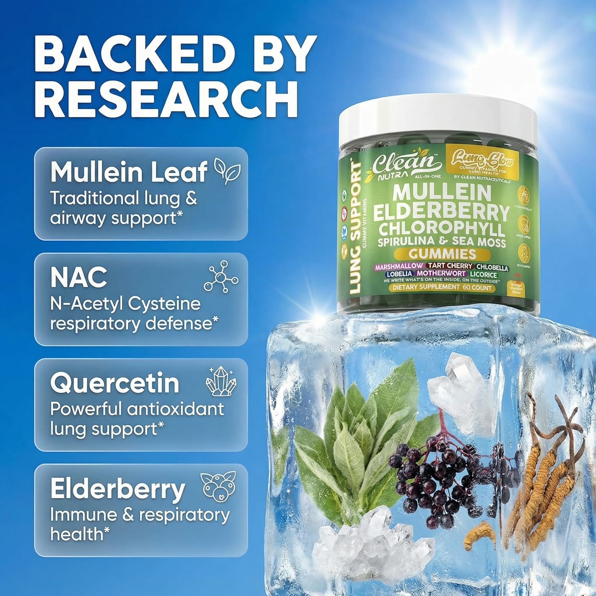 Clean Nutra Mullein Gummies supplement facts label displaying herbal ingredients