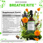 Clean Nutraceuticals Mullein Drops dropper mechanism showing the easy dosage application.