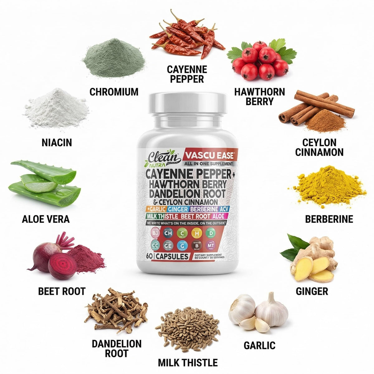 Side profile of Evorina vascular wellness supplement showcasing authentic product details and multi herb blend