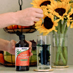 NOW Foods Liquid Chlorophyll mint flavor 473 Milliliters packaging seal inspection