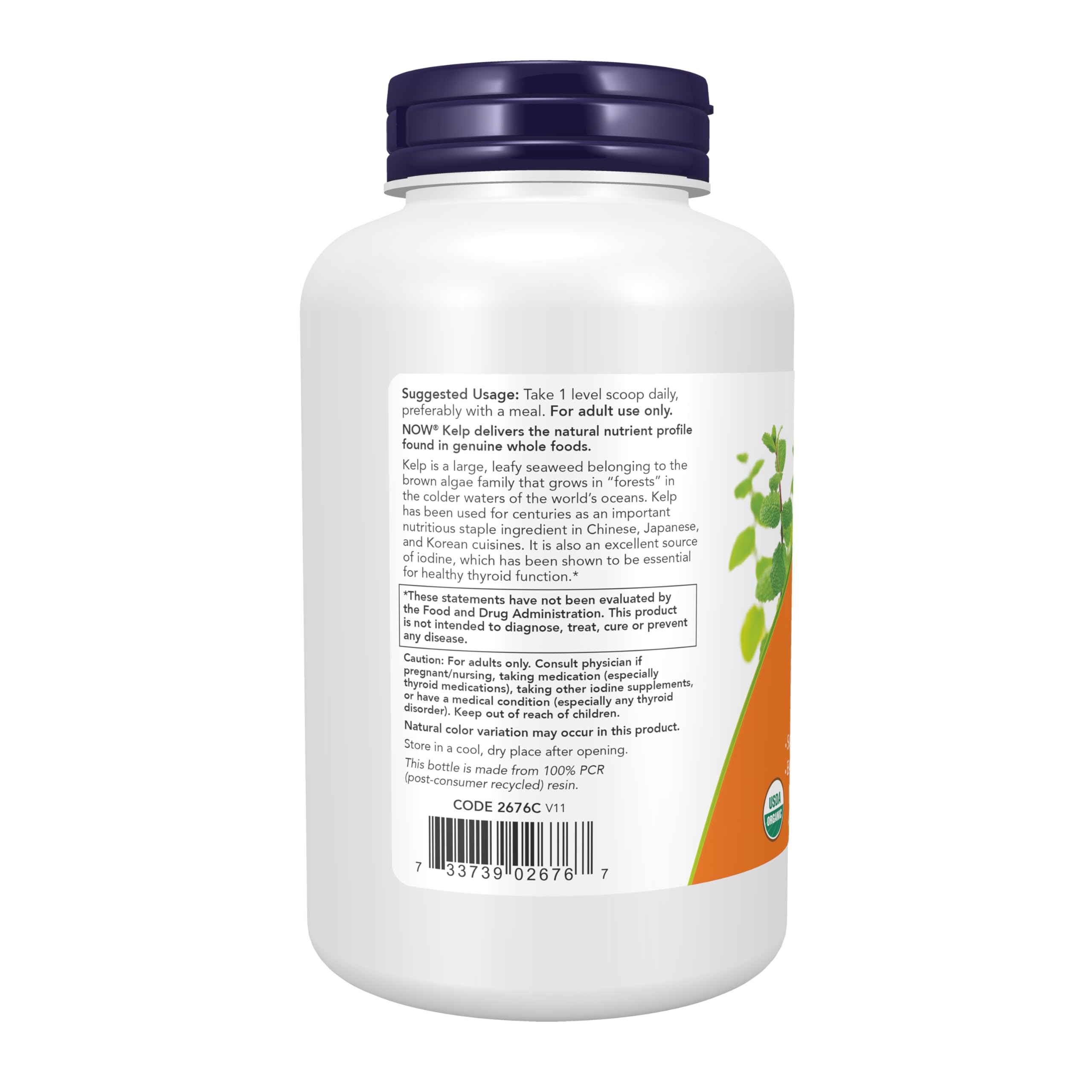 Organic Kelp Powder serving scoop inside the bottle