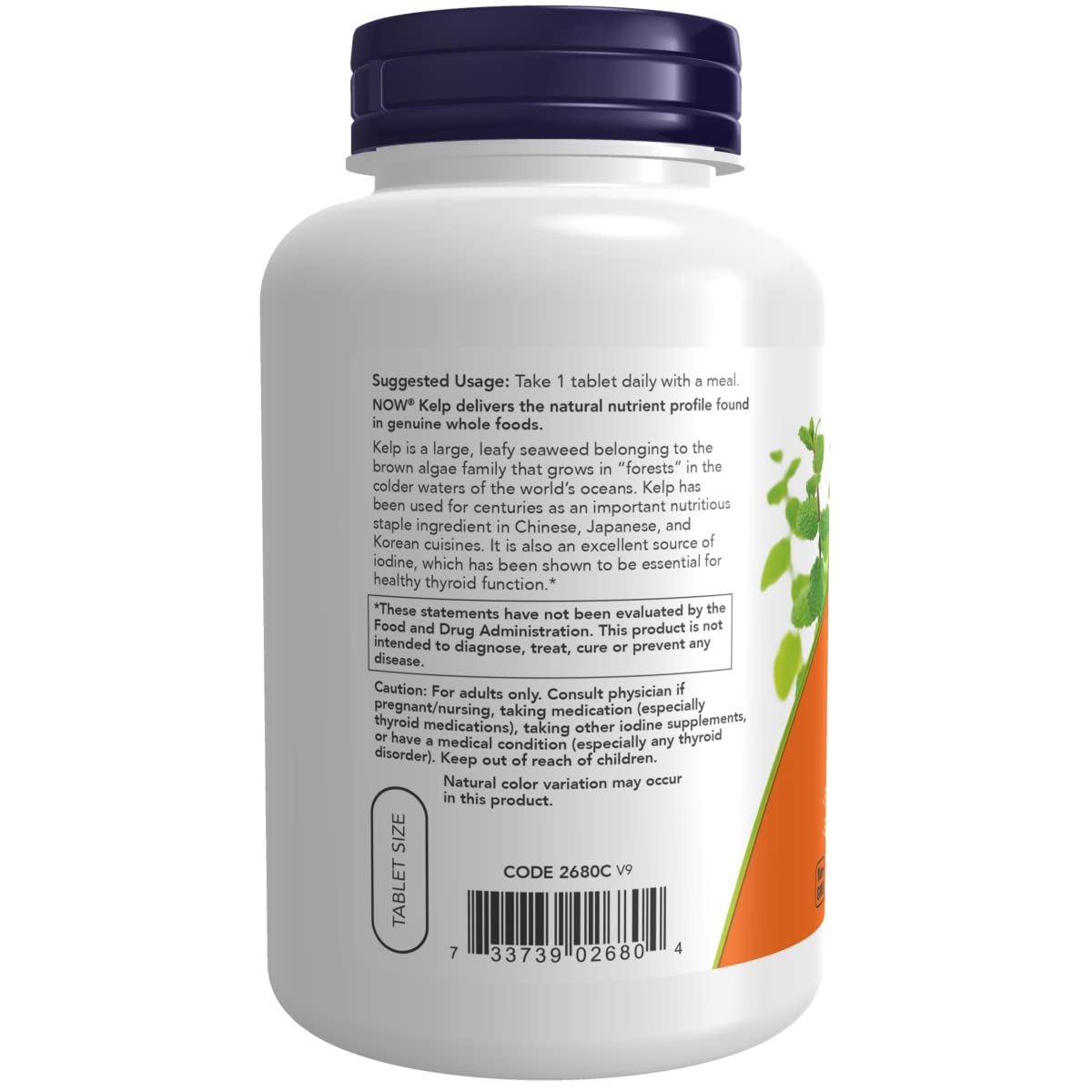NOW Foods Kelp natural iodine supplement bottle isolated