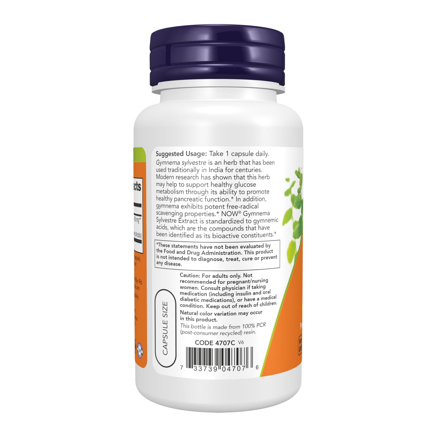 Now Foods Gymnema Sylvestre double pack imported wellness supplement for sugar metabolism support