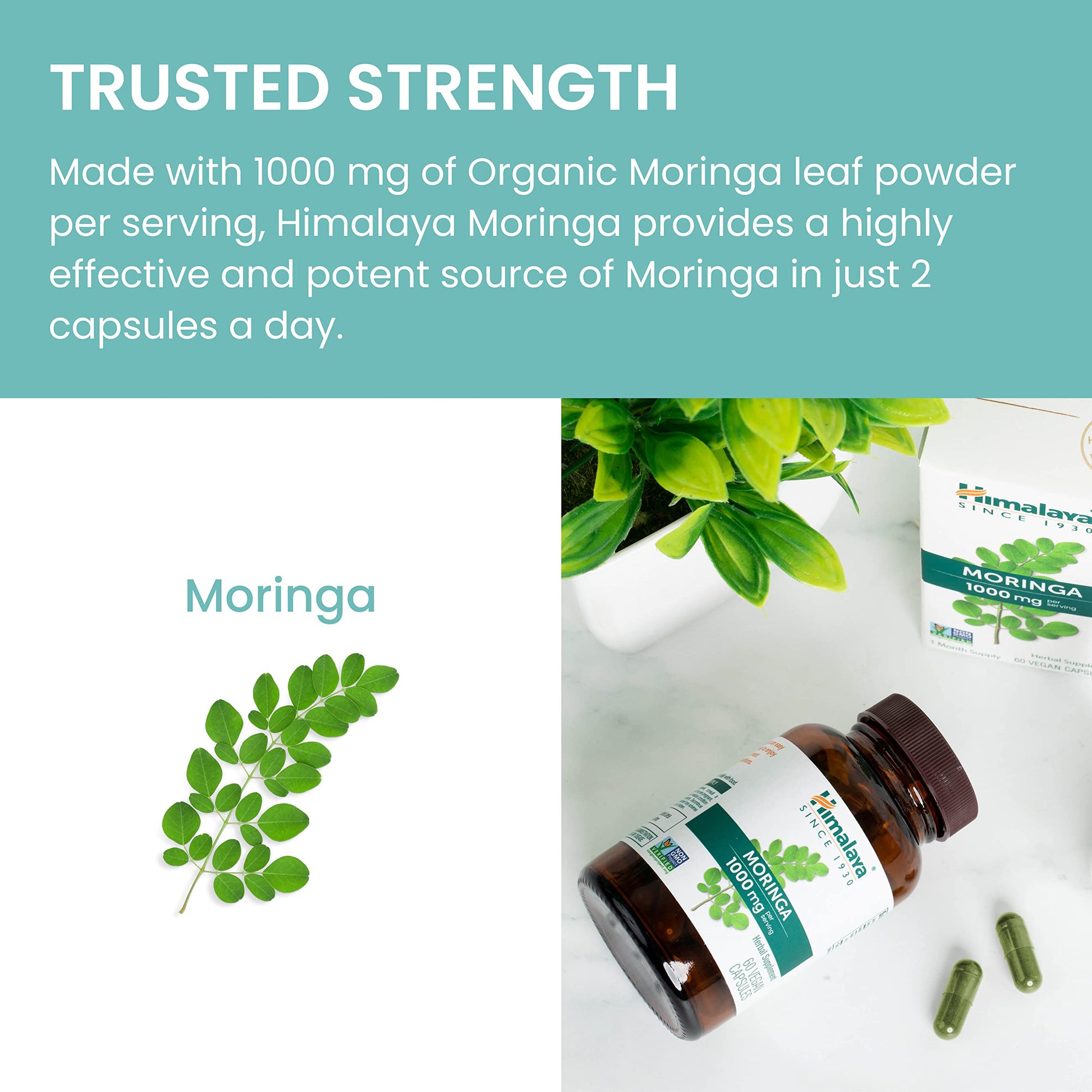 Himalaya Moringa vegan and non-GMO certification logos