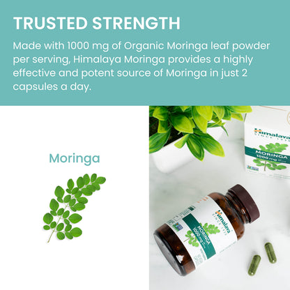 Himalaya Moringa vegan and non-GMO certification logos