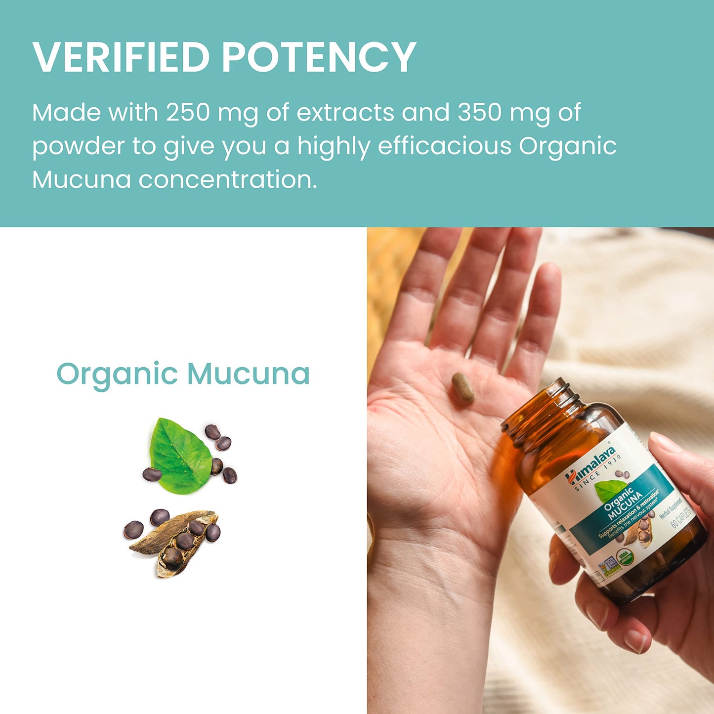 Authentic USA imported Himalaya Organic Mucuna bottle highlighting non-GMO project verification