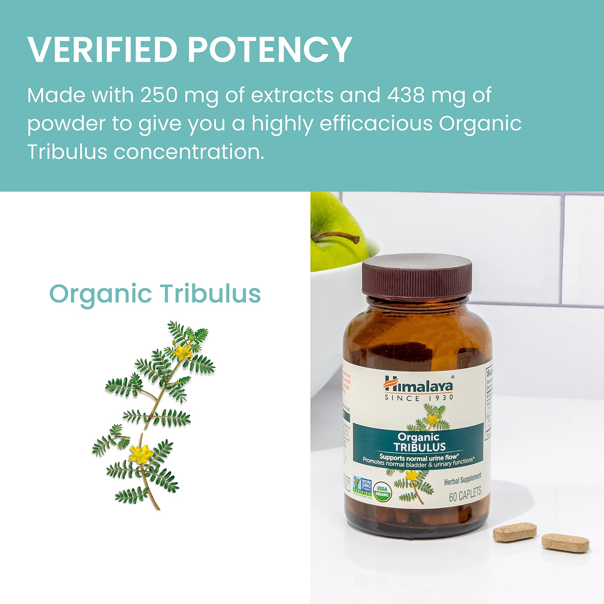 Natural Tribulus Terrestris herbal supplement for men
