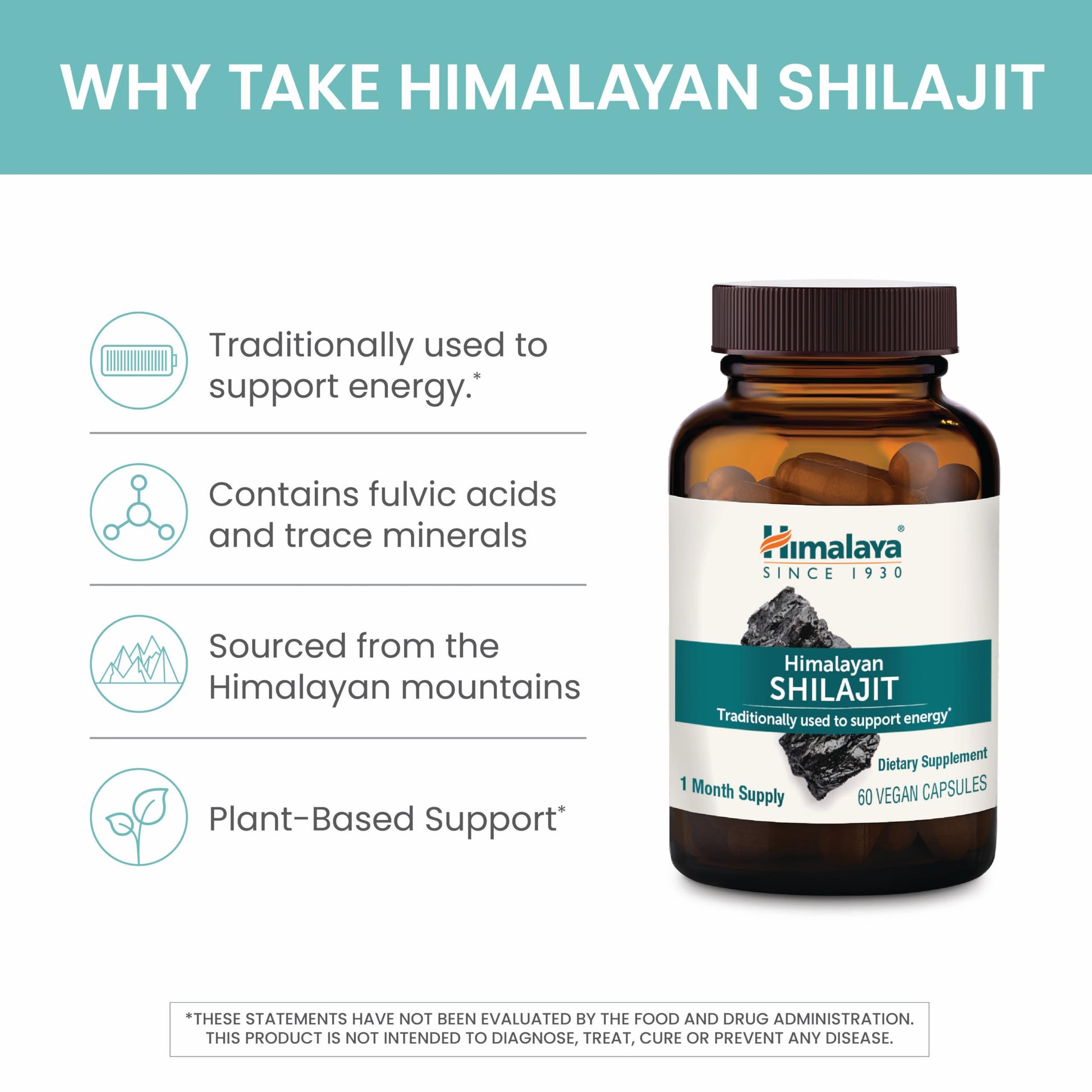 Himalaya Himalayan Shilajit herbal energy supplement 60 count bottle for vitality support