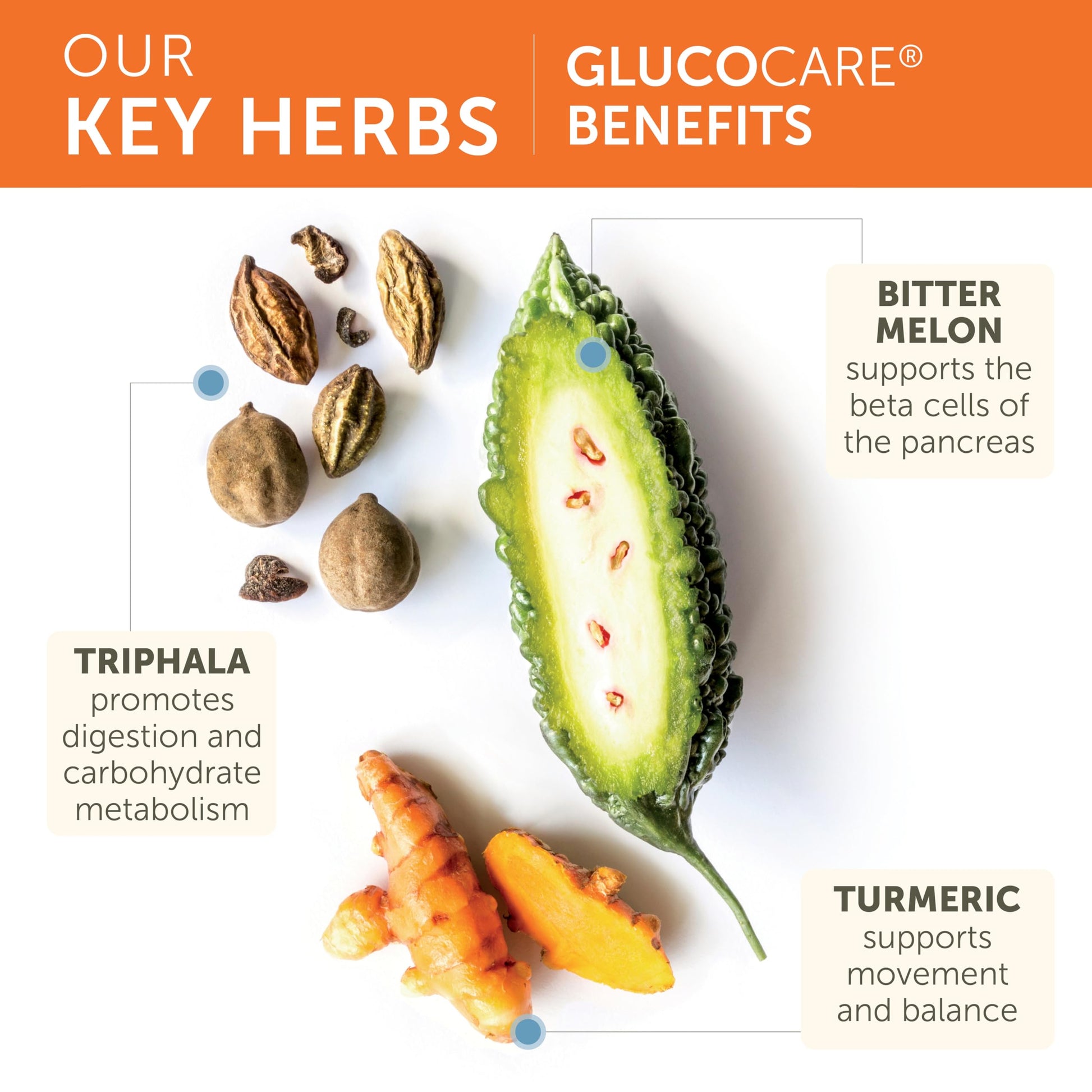 Himalaya GlucoCare blood sugar and pancreatic support supplement bottle base and expiry details