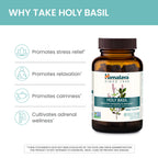 Himalaya Holy Basil bottle for stress relief side view