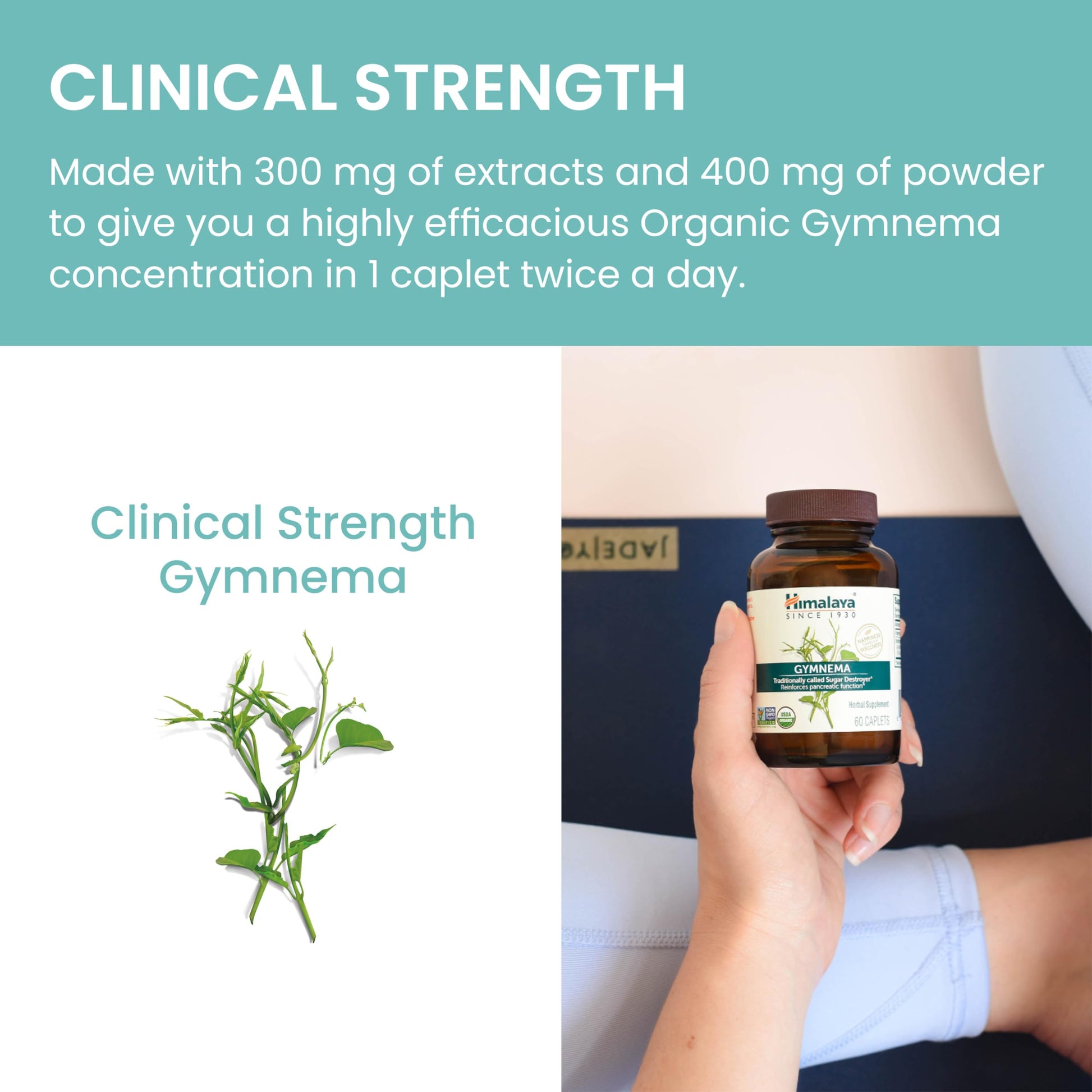 Authentic Himalaya Ayurvedic Meshashringi glucose support supplement bottle on a clean background.