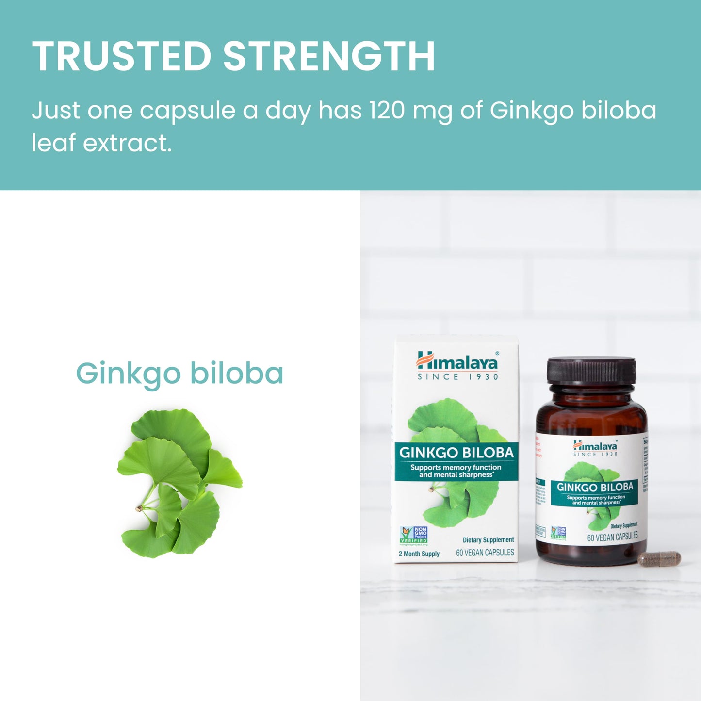 Side angle view of gluten-free 120mg Ginkgo Biloba capsule container.